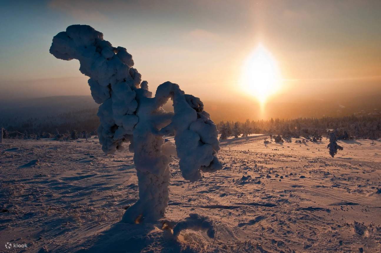 電動雪地滑板車、拉普蘭午餐和冰上卡丁車全天