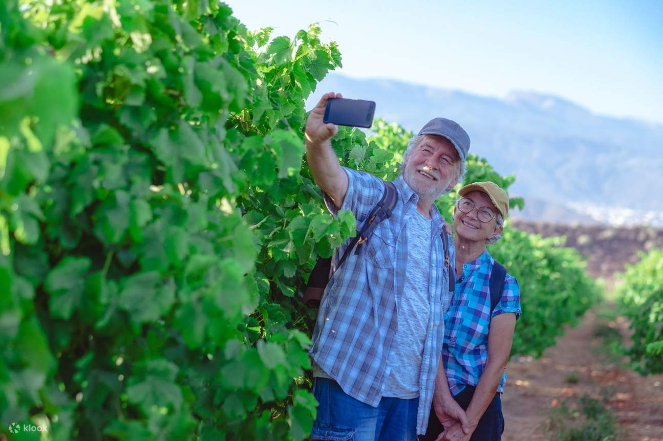 One Rioja Day Rioja dan Ribera del Duero Wineries Private One Day Tour dari Madrid ...