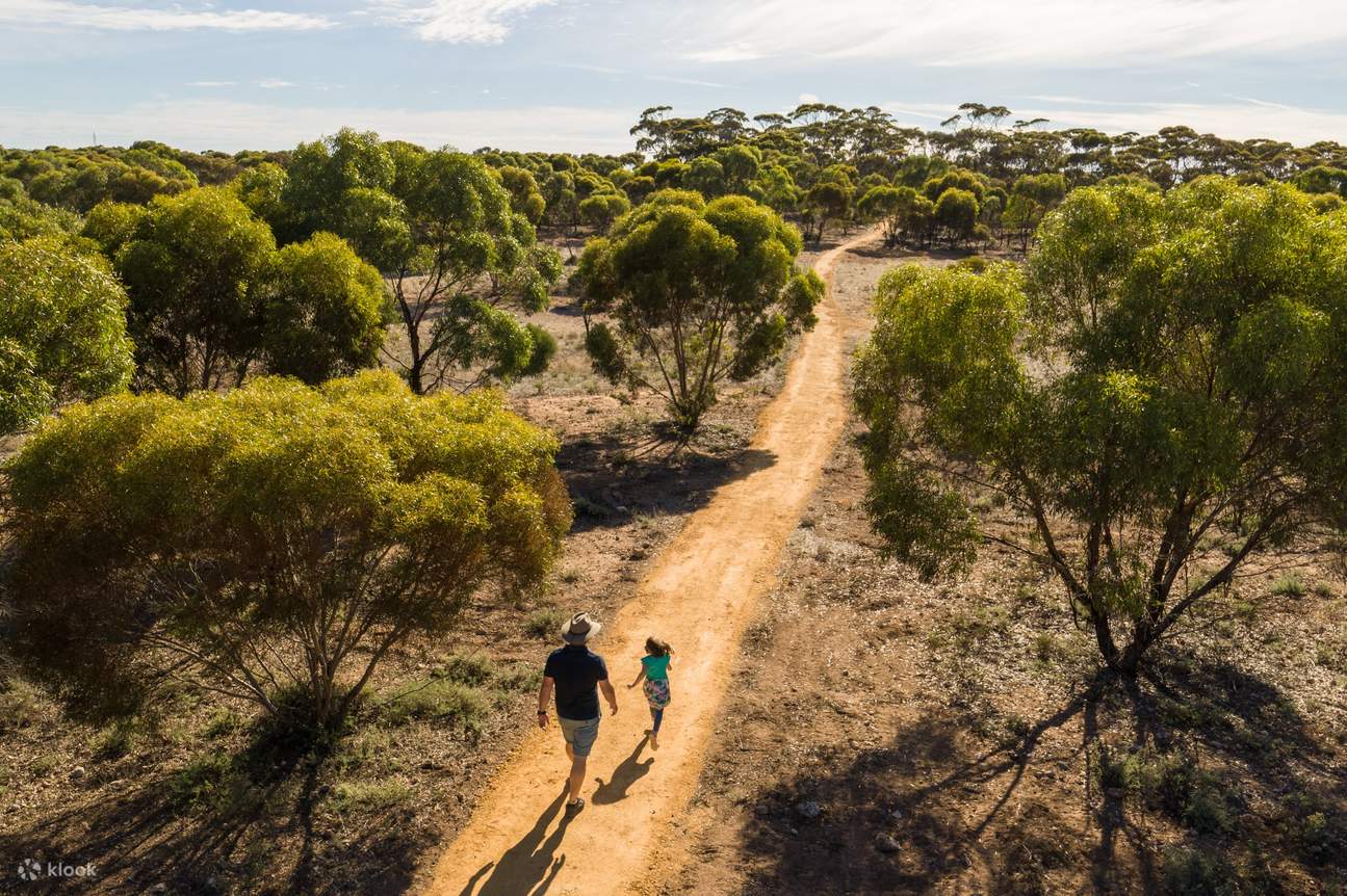 Entrada al Parque Safari de Monarto en Adelaida