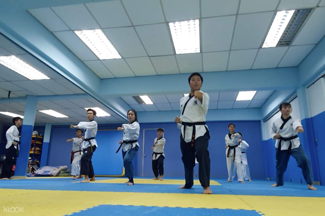 Pre-recorded Taekwondo Training Workshop