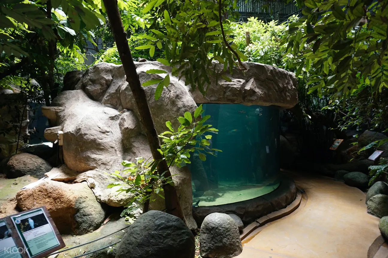 Tiket Langkawi Underwater World Klook Us