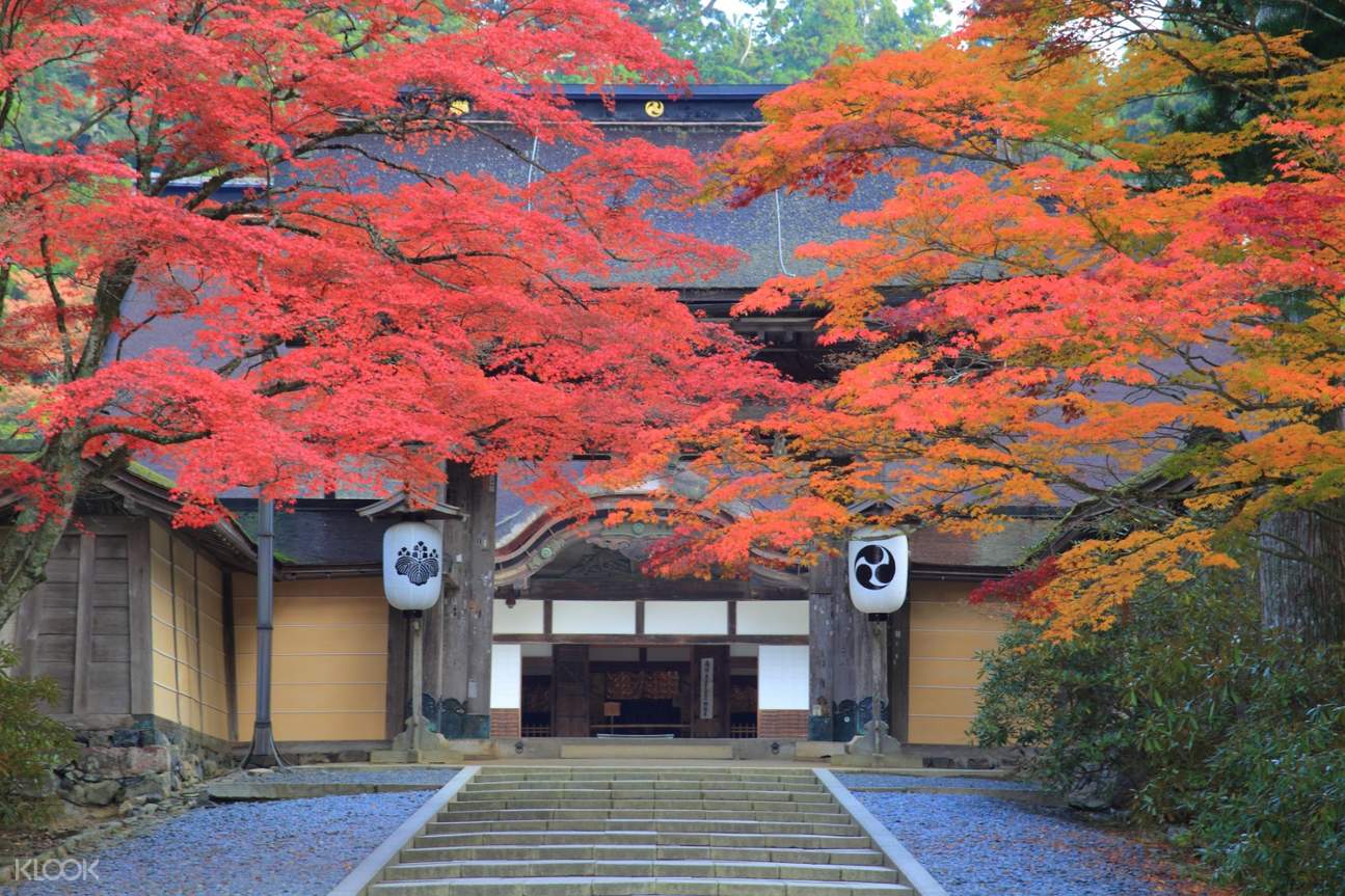 Mount Koya Day Tour from Kyoto, Japan