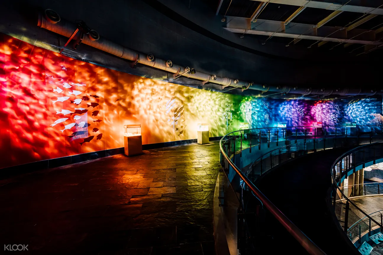 National Museum of Marine Biology & Aquarium Admission Ticket Kenting