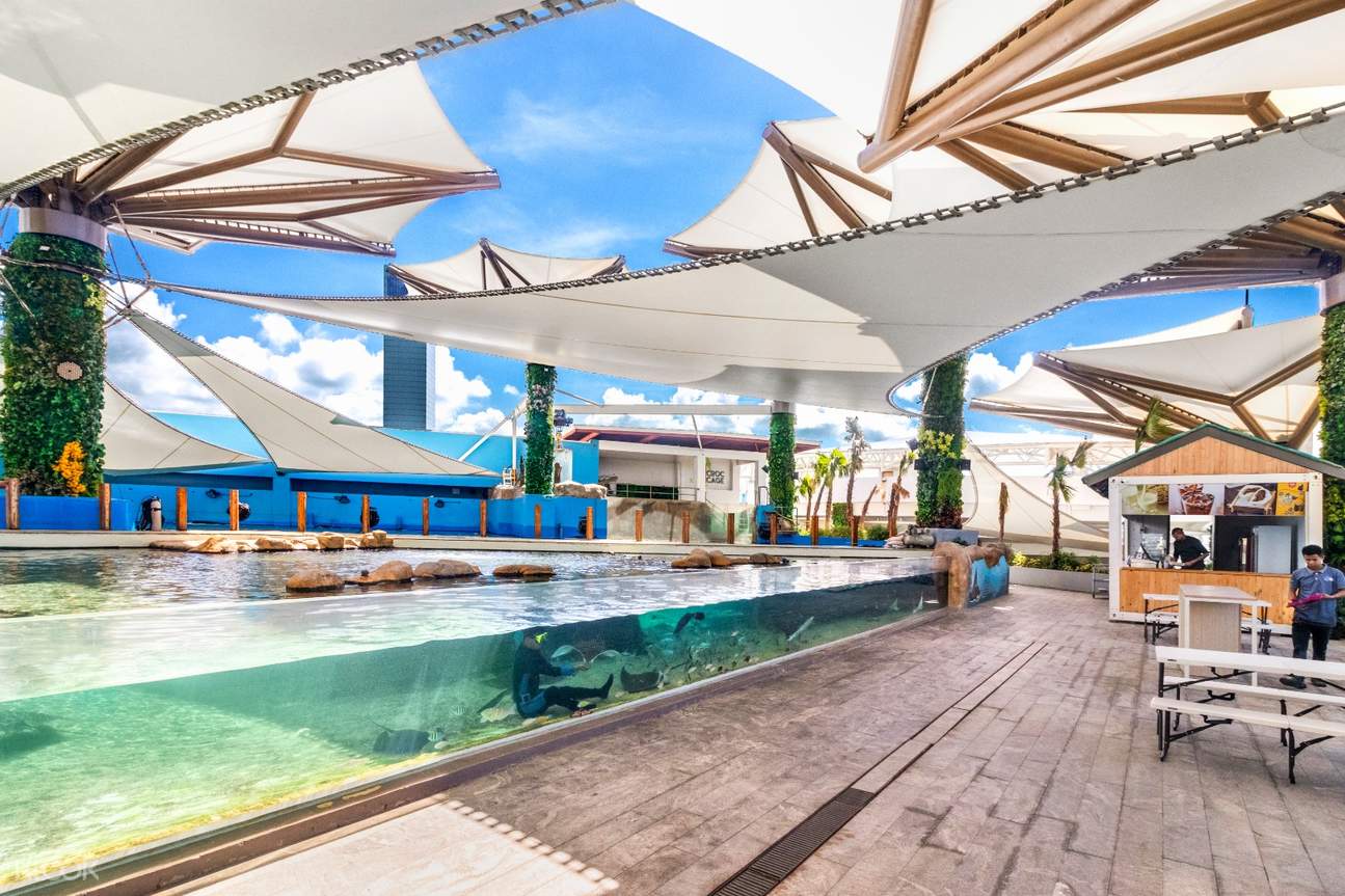 Up to 20 Off Cebu Ocean Park Ticket Klook Philippines