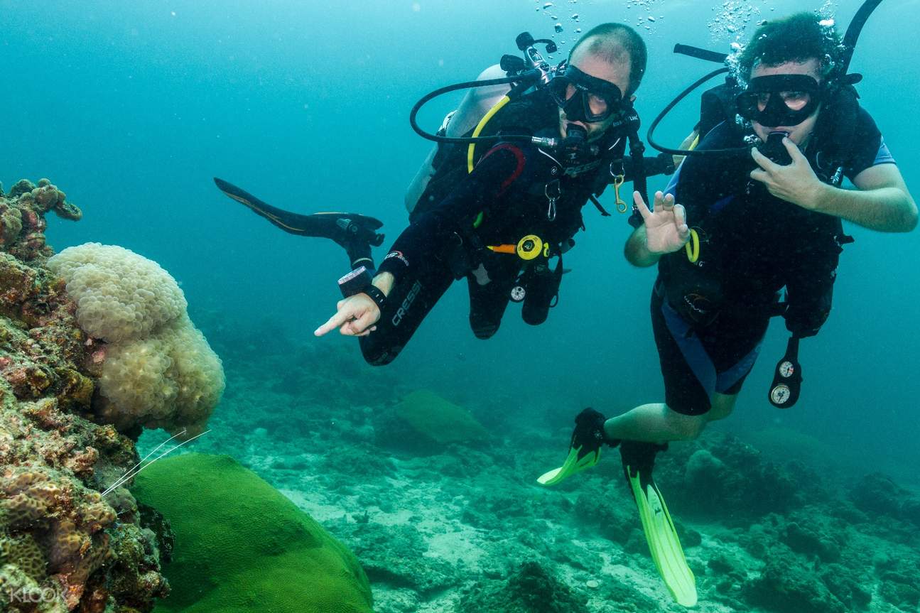 PADI Diving Courses in Koh Phi Phi, Thailand PADI Diving Courses in Koh Phi Phi, Thailand