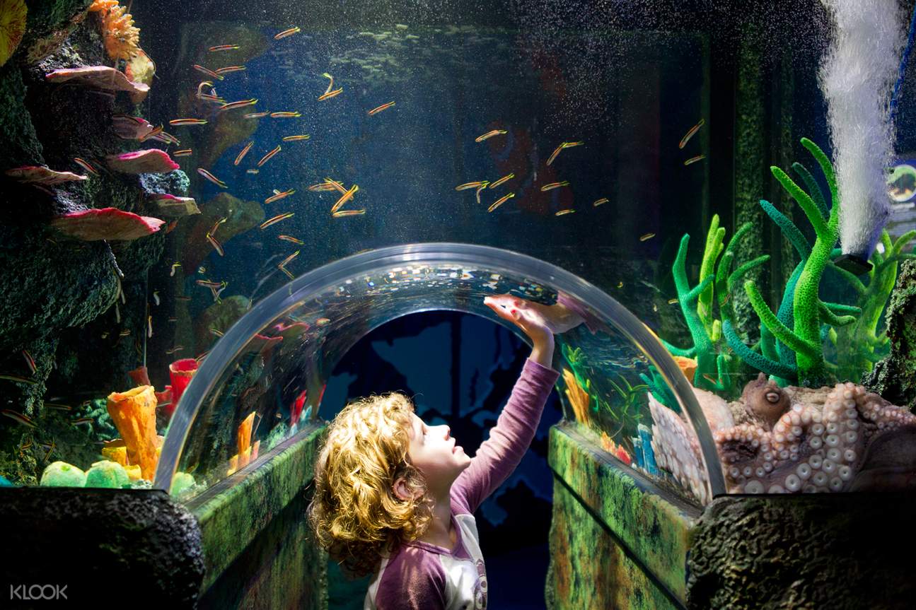 [SALE] Melbourne Sea Life Aquarium & Legoland Discovery Centre