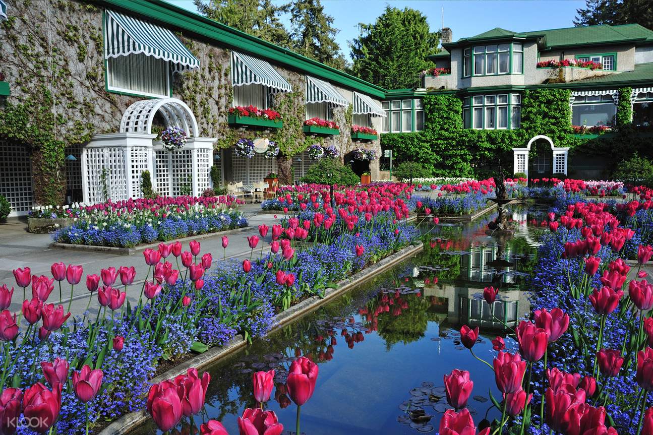 butchart gardens tour from downtown victoria
