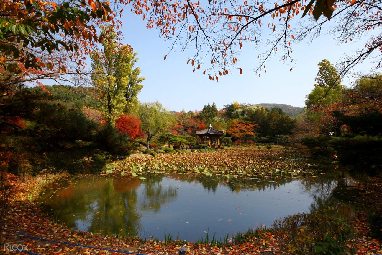 Gyeongju UNESCO World Heritage Site Day Trip from Busan