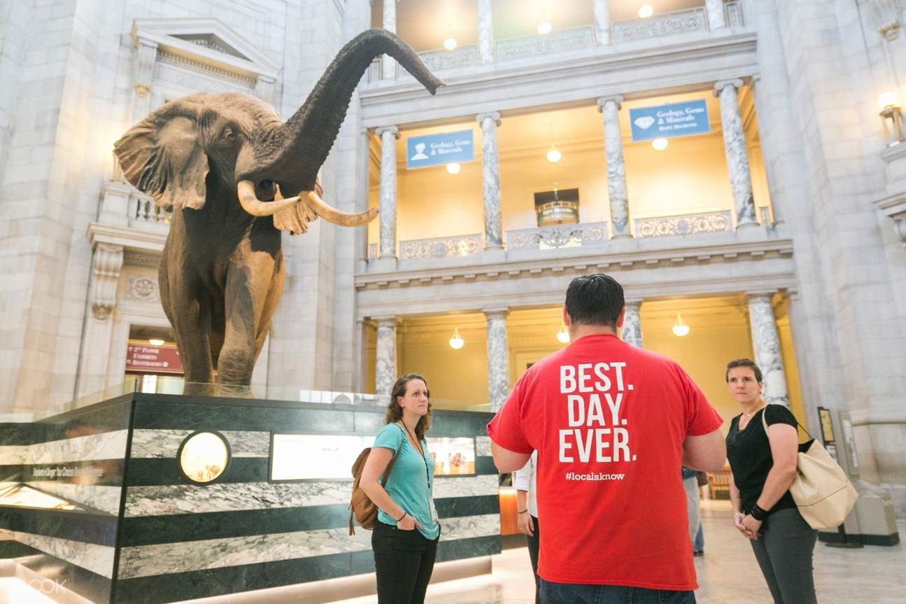 Smithsonian Natural History Museum Guided Tour Klook US