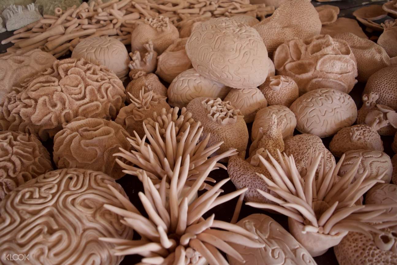 Escape Room and Coral Clay Experience in Bali Klook Singapore