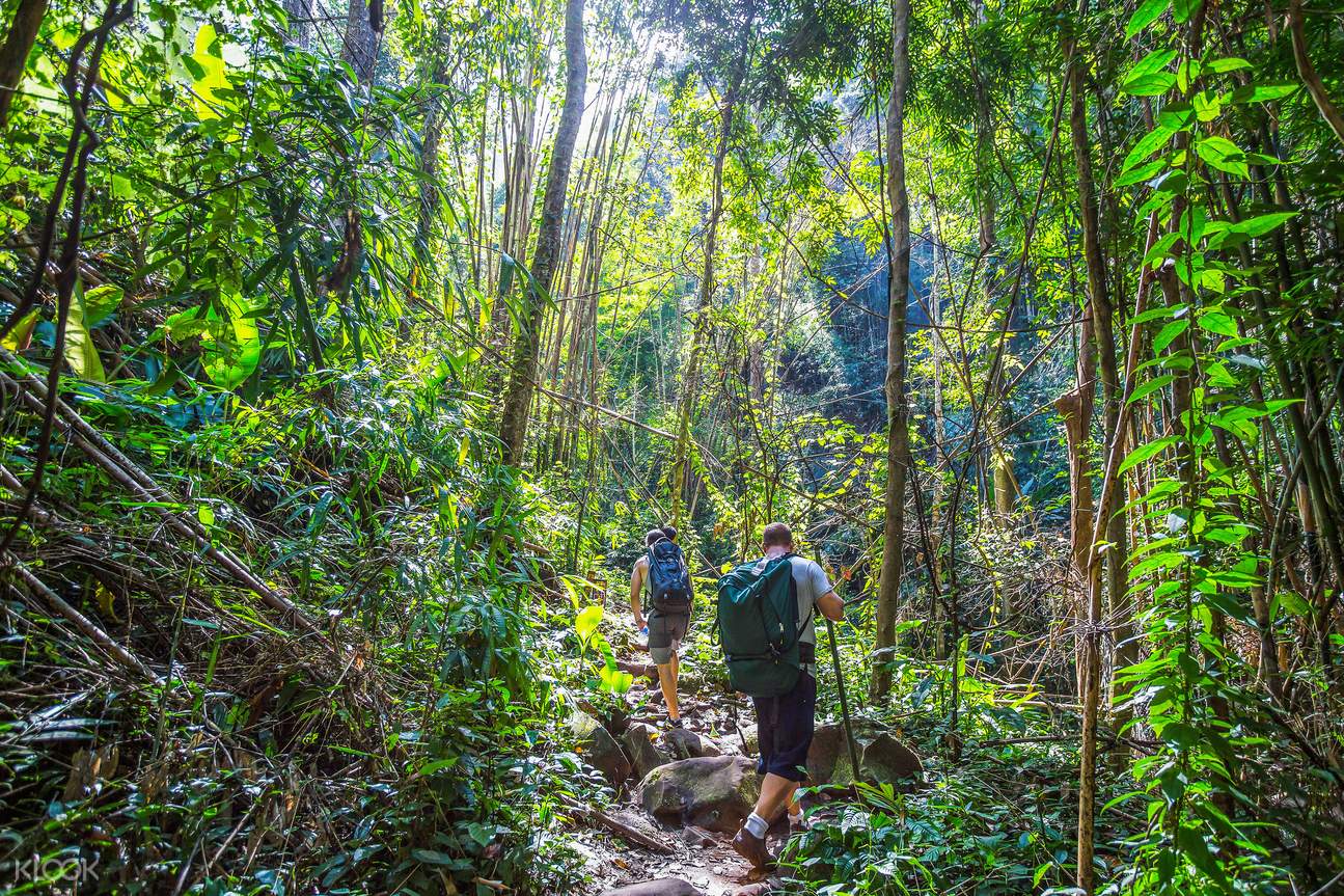 Image result for Hiking in koh li pe