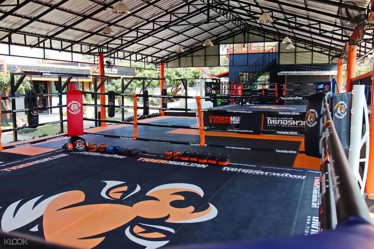 Muay Thai (Thai Boxing) Training by Tiger Muay Thai Chiang Mai