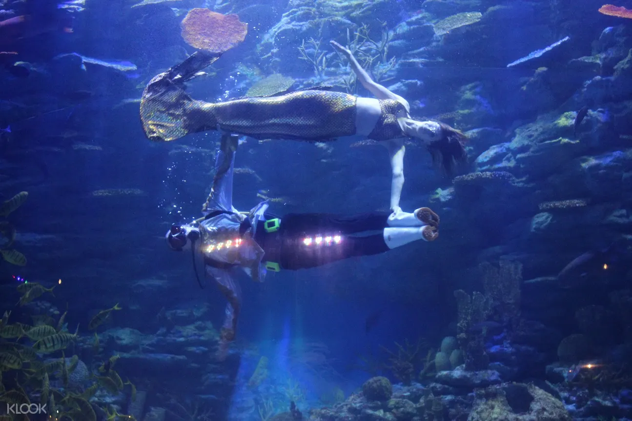 SEA LIFE釜山水族館門票