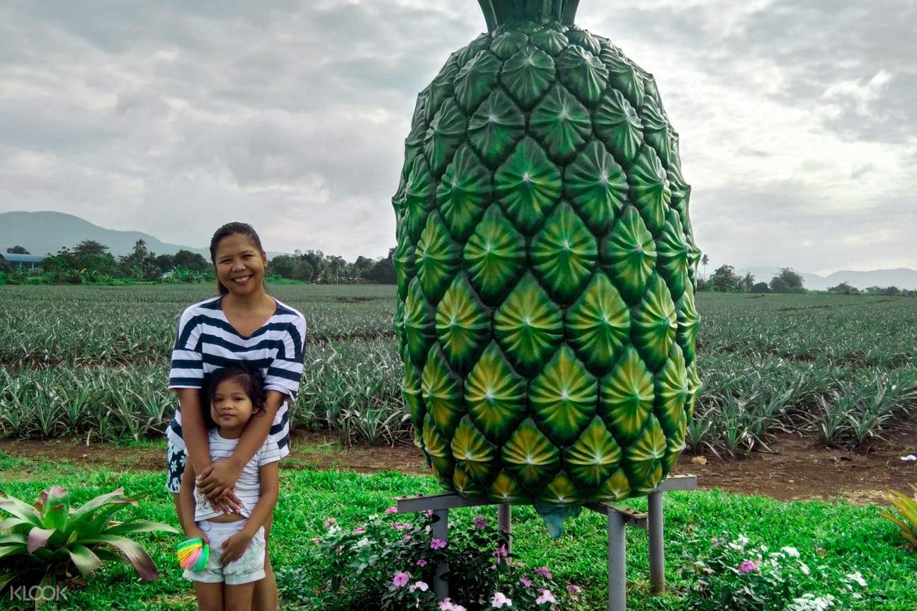 Lake Danao and Pineapple Plantation Private Day Tour from Leyte Klook