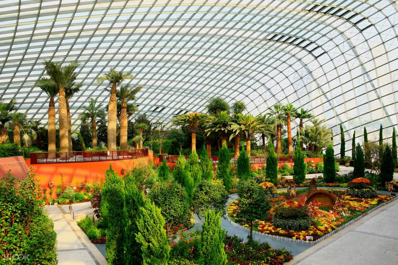 singapore flyer and gardens by the bay package
