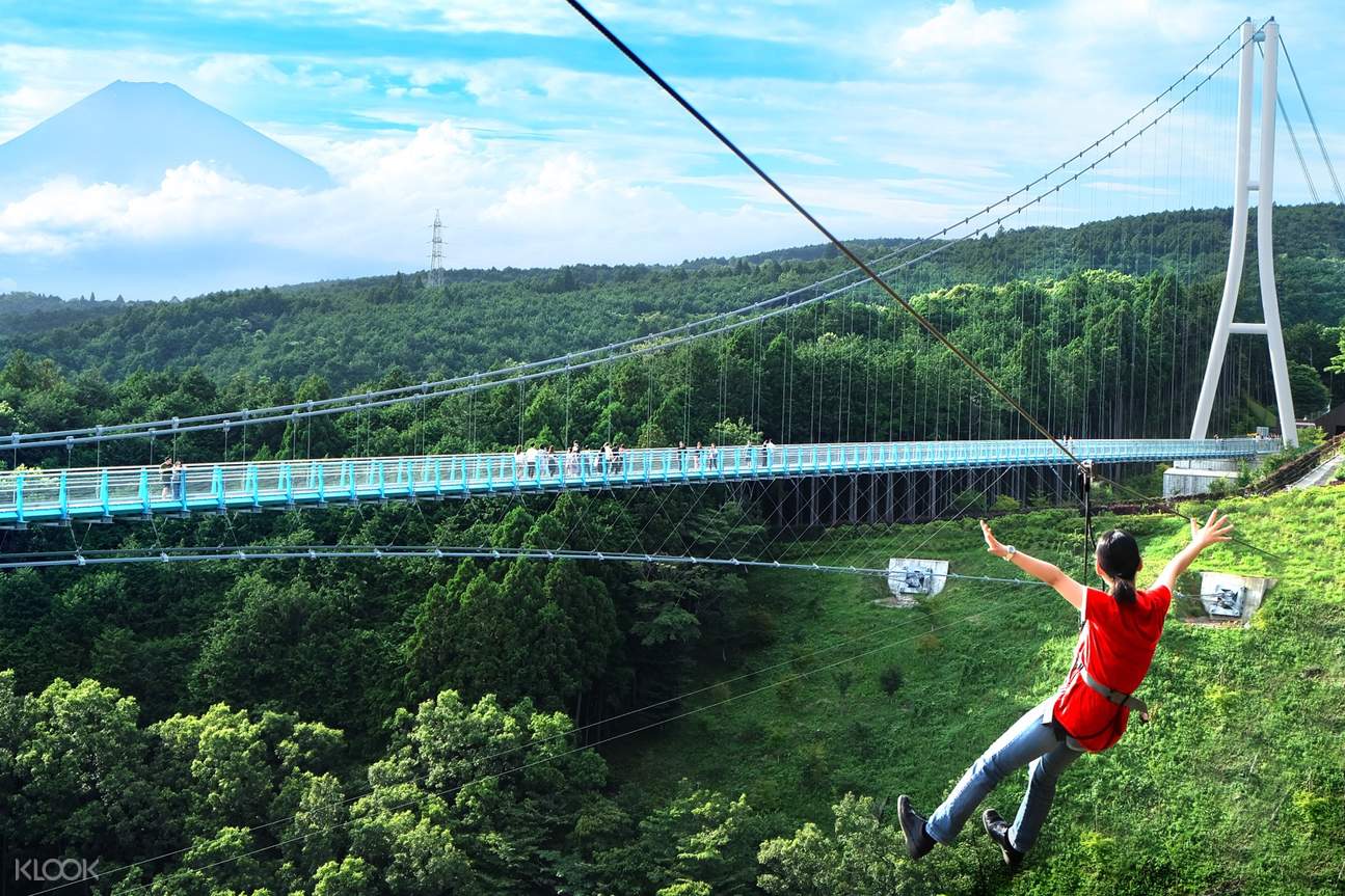 Mt. Fuji View Zip Line, Mishima Skywalk, & Forest Adventure Set Ticket