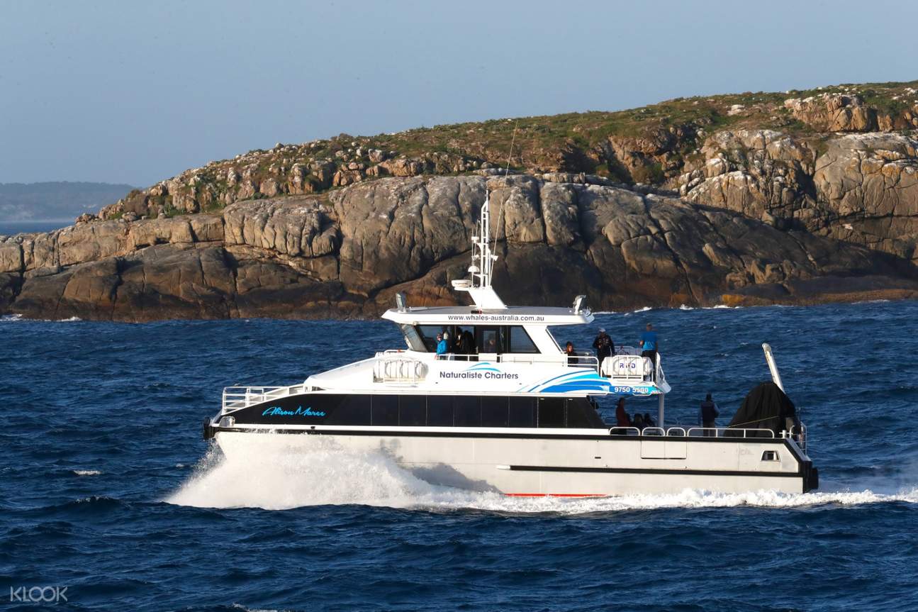 Whale Watching Experience in Perth, Western Australia - Klook Australia