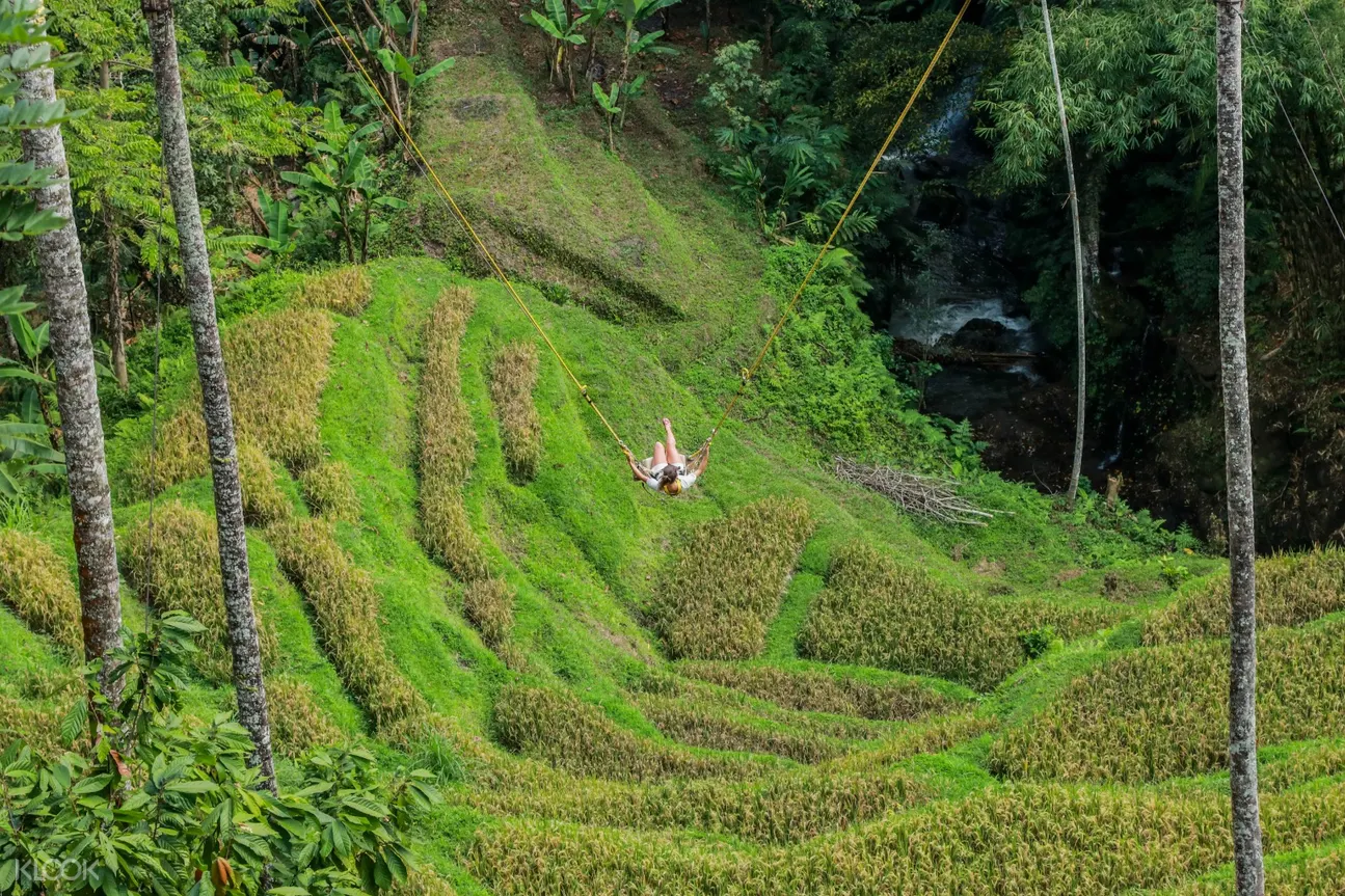 Bali Swing and Waterfall Full Day Tour in Ubud