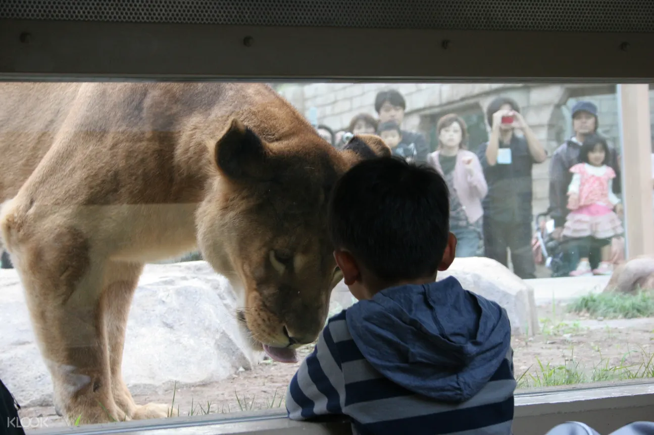 日本東武動物公園門票 入園門票 一日通票 線上訂票 412 愛票網 日本東武動物公園門票 入園門票 一日通票 線上訂票 412 愛票網