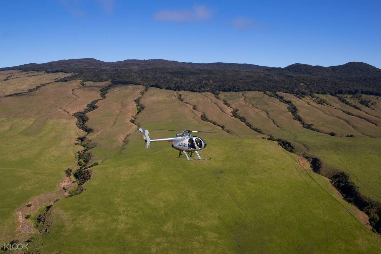 Kohala Valley and Waterfalls DoorsOff Helicopter Tour in Hawaii’s Big