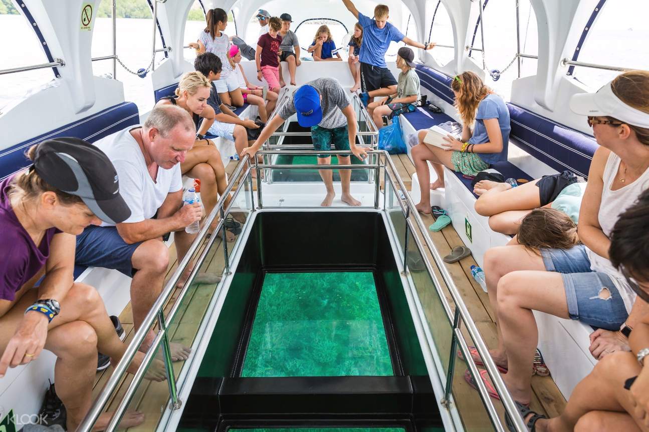 glass bottom boat tour looe