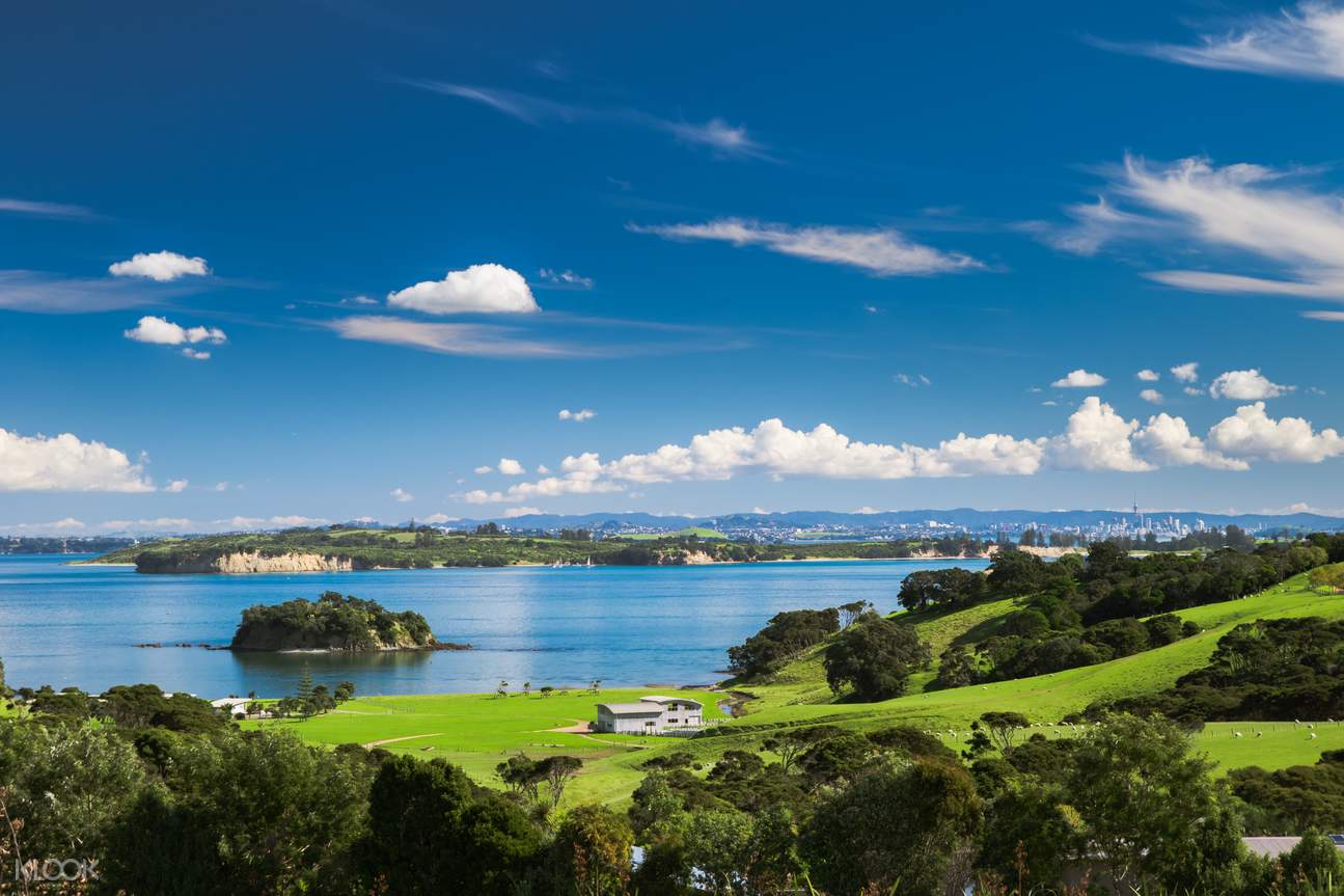Auckland Highlights with Wine Tasting at Waiheke Island Combination