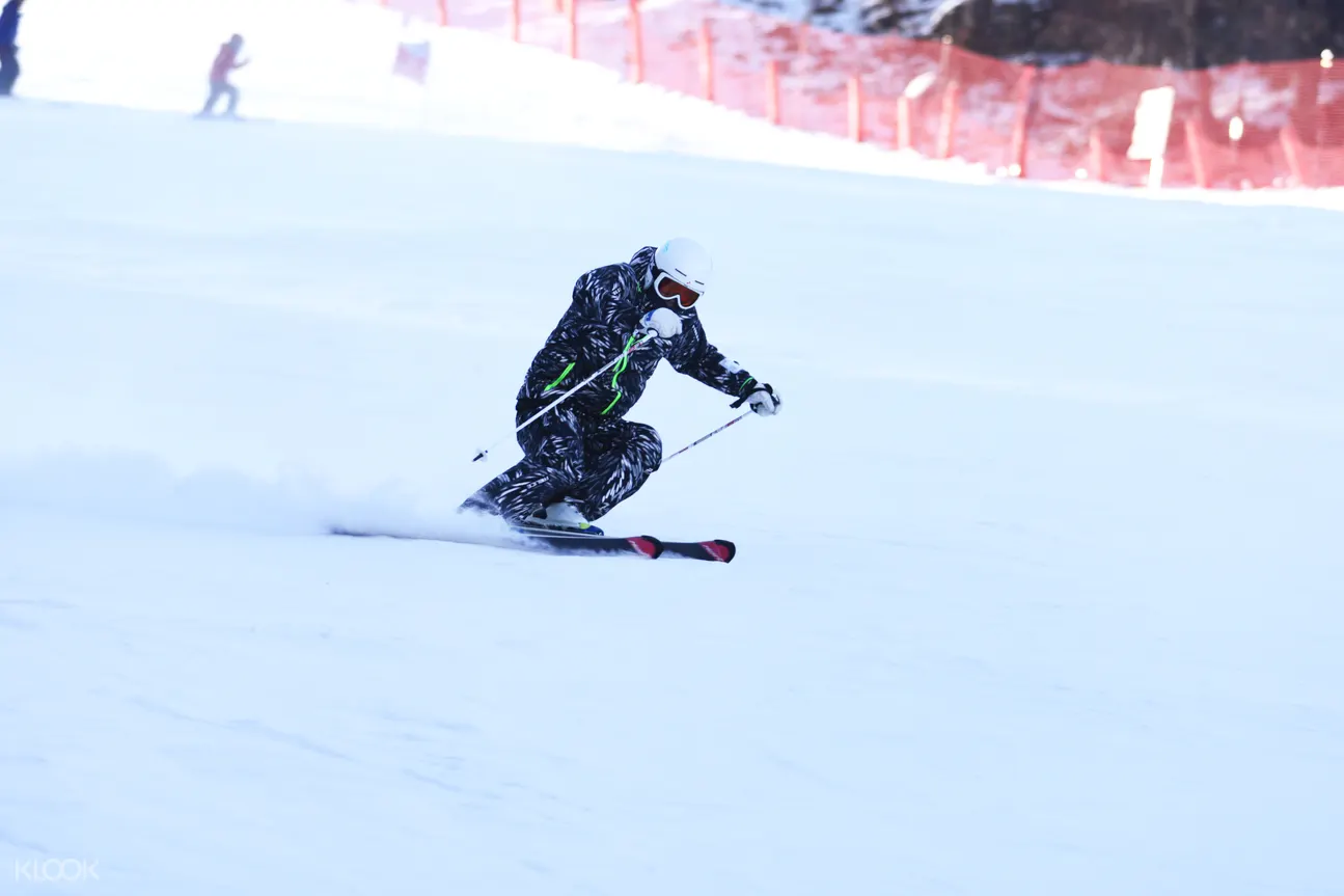 韓國江原道龍平滑雪度假村