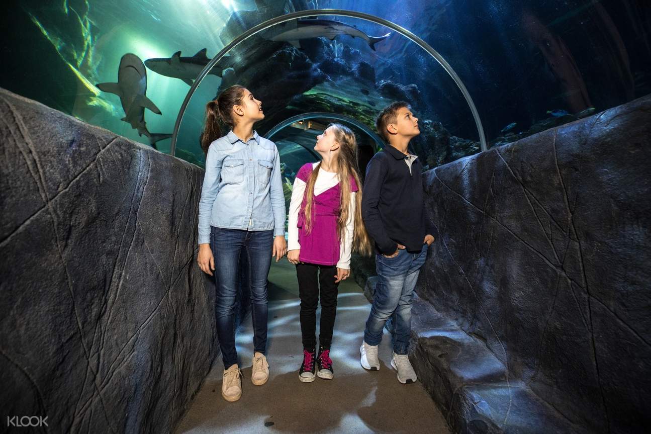Sea Life Hannover Admission Ticket - Klook Australia