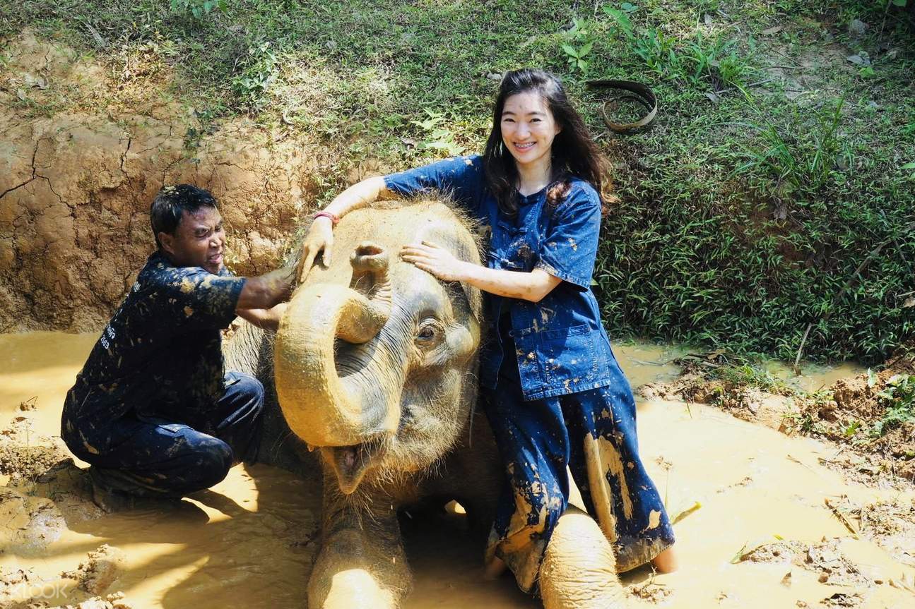 Join In Elephant Mud Bath, Pool Bath And Rain Shower Experience by all ...