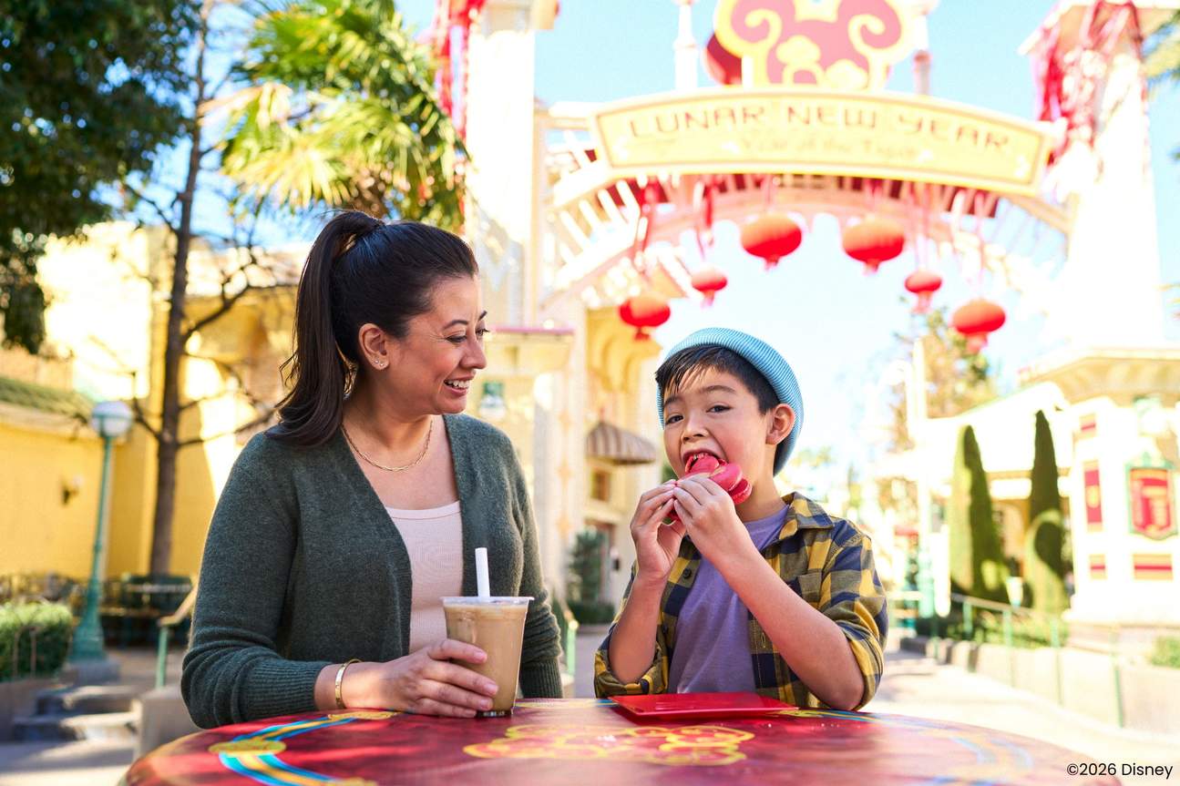 カリフォルニアディズニーランドリゾート チケット（ロサンゼルス