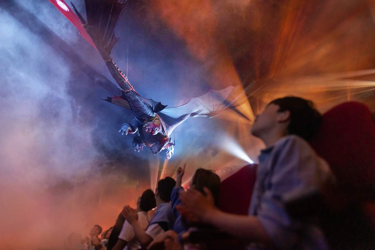 How to Train Your Dragon: Untrainable