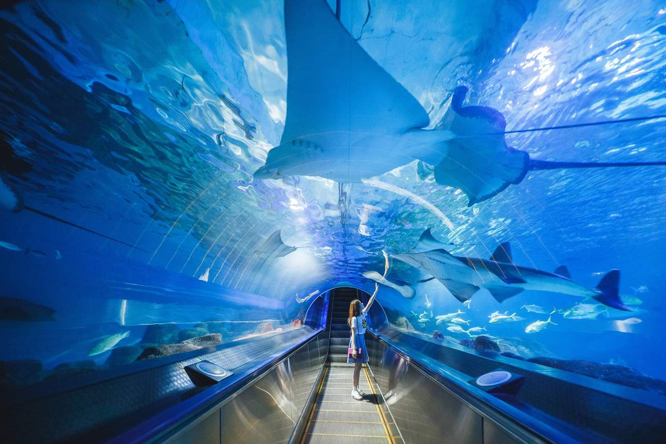 遠雄海洋公園 - ディスカバリーアイランド水族館