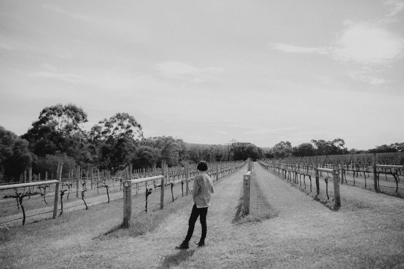 Arimia Organic Farm Tour & Lunch in Margaret River Klook Australia