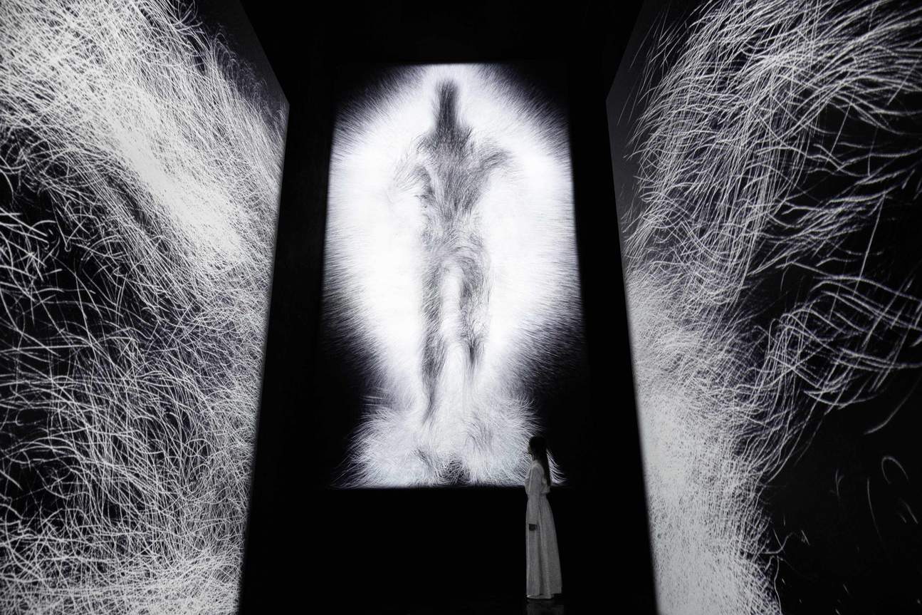 Vista completa dell'installazione di Dissipative Figures – Human, Light in Dark e 1000 Birds, Light in Dark