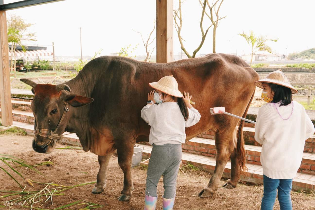 Niu Tou Si Family Farm