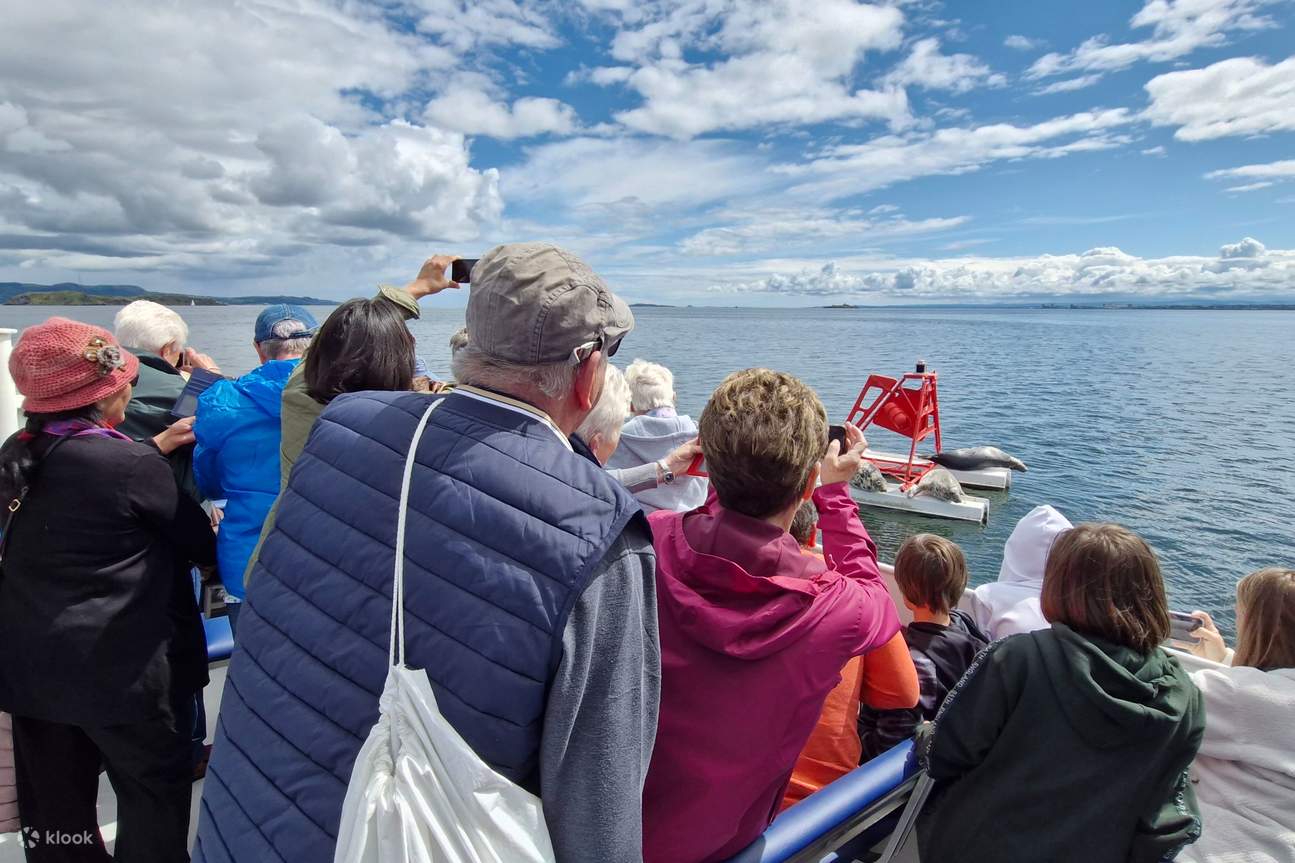 Look out for seals and marine wildlife as you relax and enjoy the panoramic views