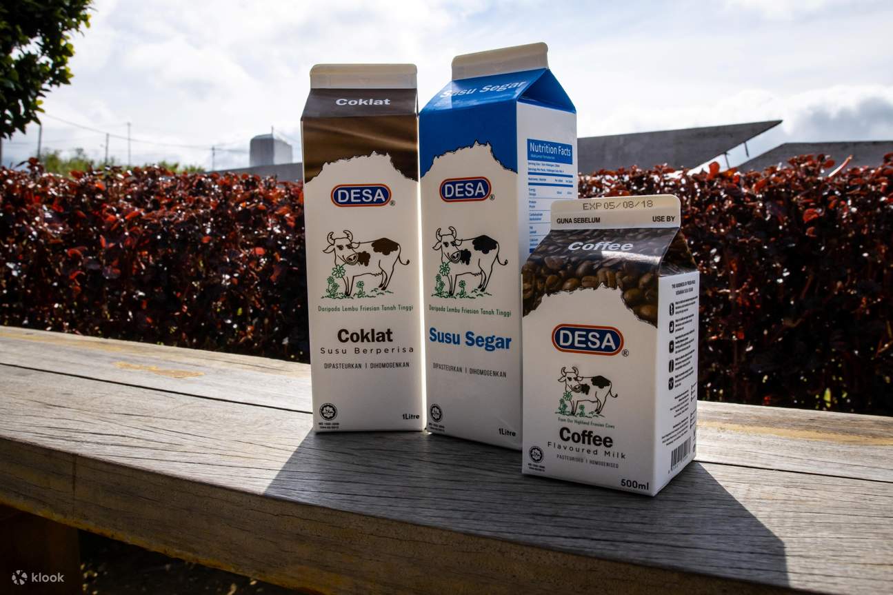 Pengalaman Paralayang Ranau dengan Desa Farm Day Tour