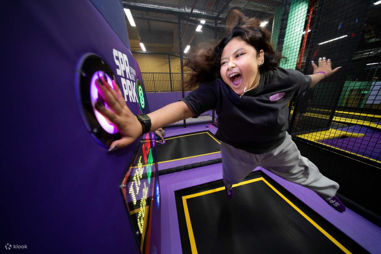 スーパーパークシンガポール 入場チケット