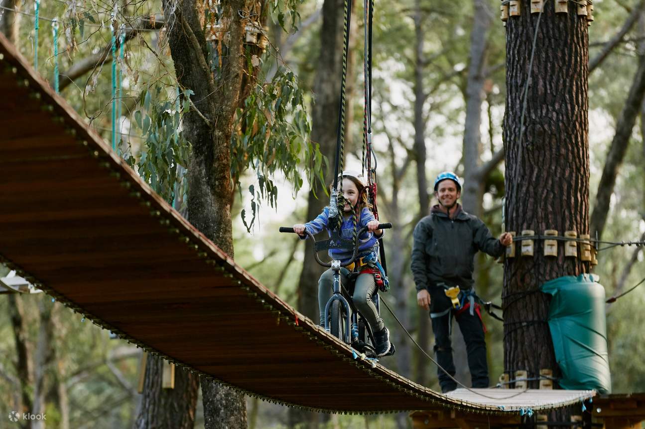 Baumwipfelpfad-Erlebnis