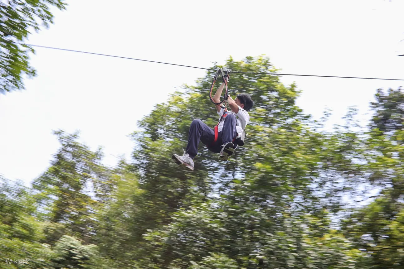 在 skytrex adventure melaka 骑滑索的人