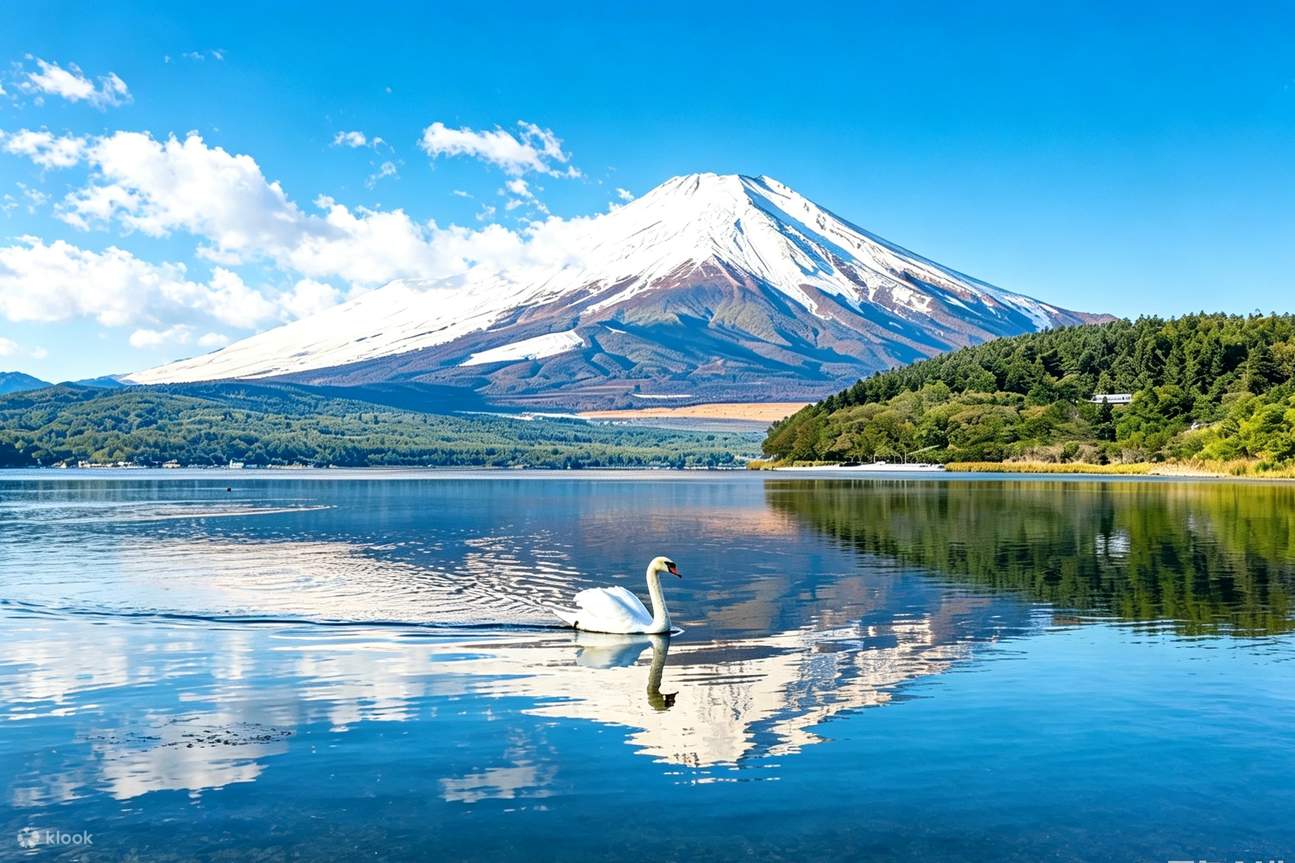 【中古】「未使用品」シンフォレストDVD 富士・伊豆・箱根 空撮クルージング Fuji Izu Hakone Sky Cruising Mount Fuji and Hakone Day Trip | Includes Hotel Pick-Up and Drop