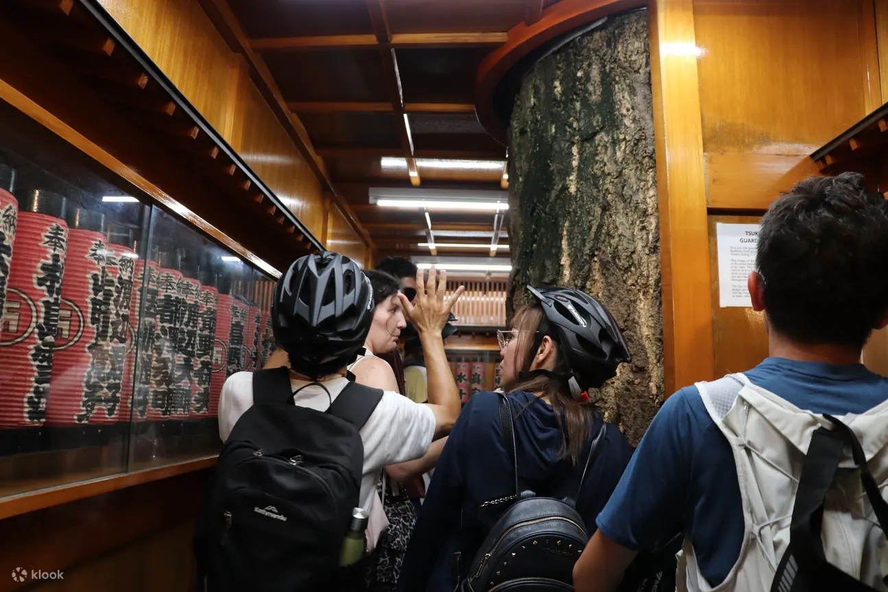 3 小时电动自行车体验，游览东京最佳景点（东京）