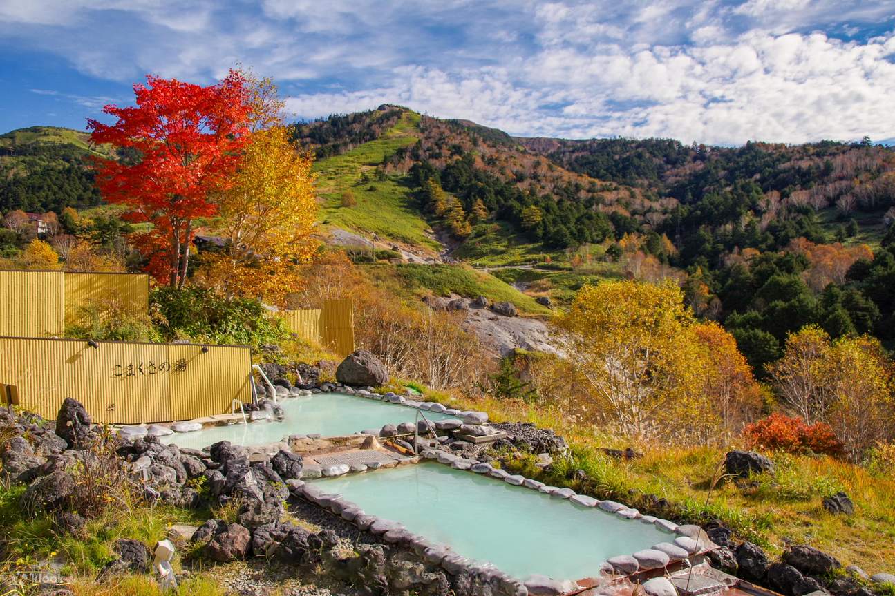 Karuizawa Maple Falls and Wild Monkey Hot Springs 2-Day Tour (Enjoy ...