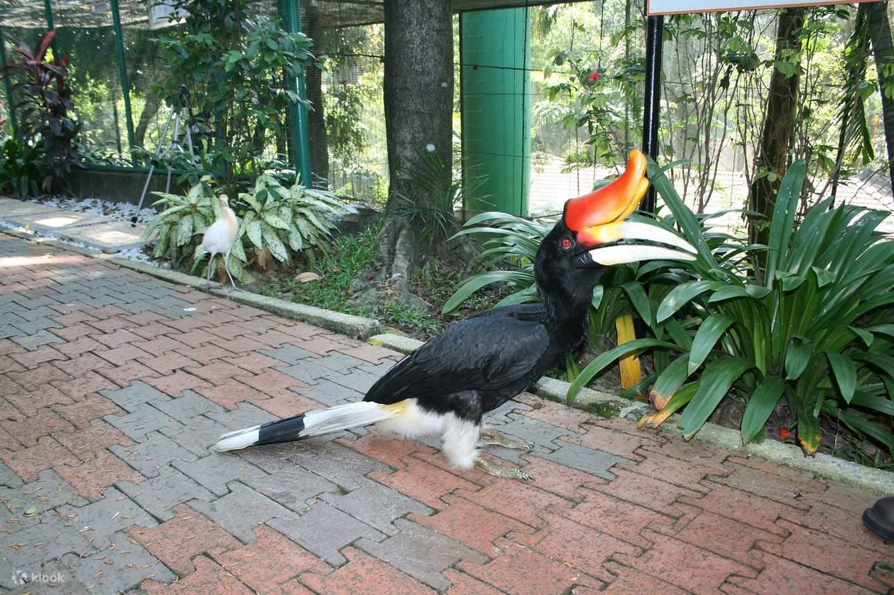 Tiket masuk KL Bird Park Kuala Lumpur