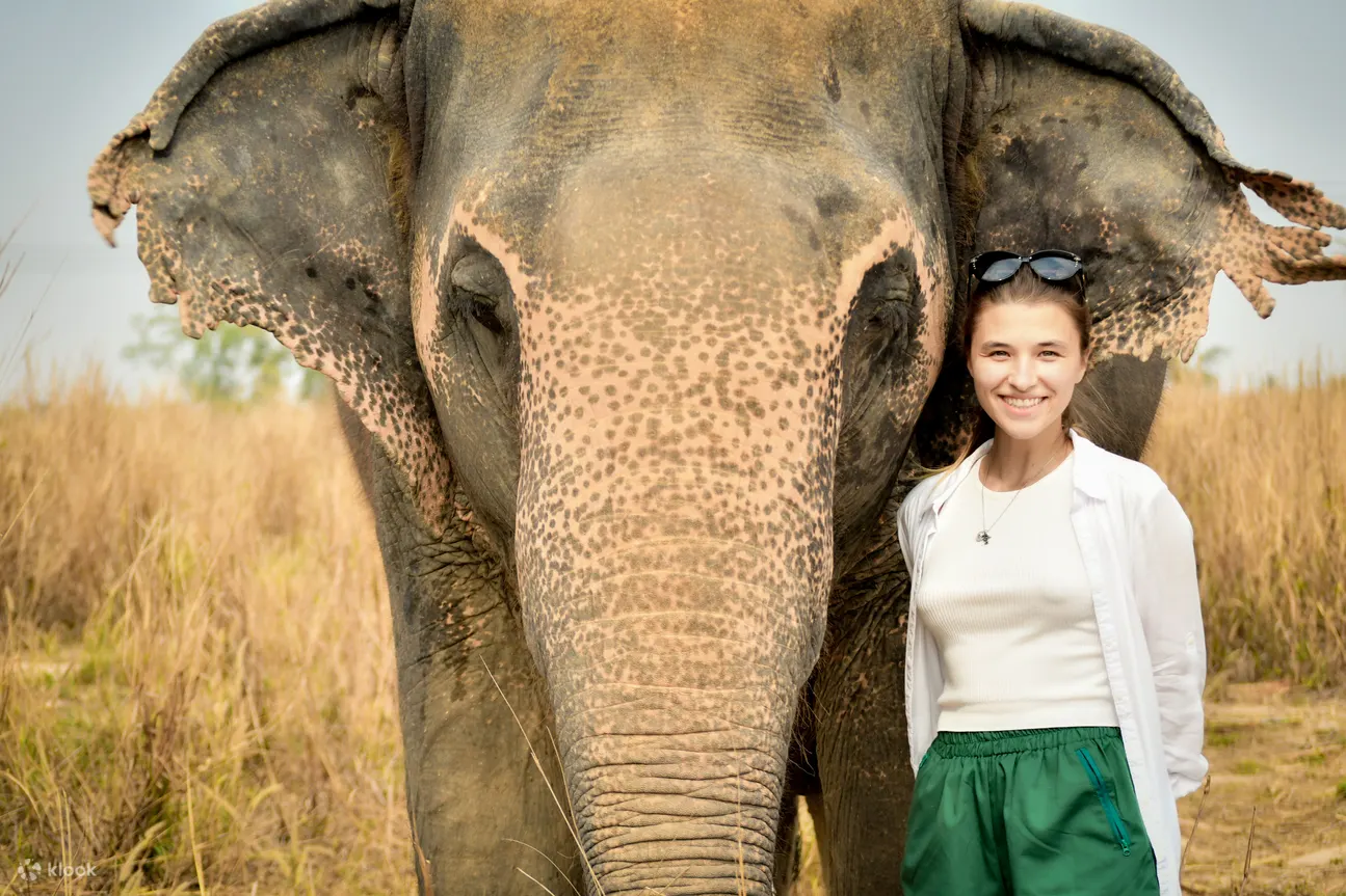 Experience the elephant nature