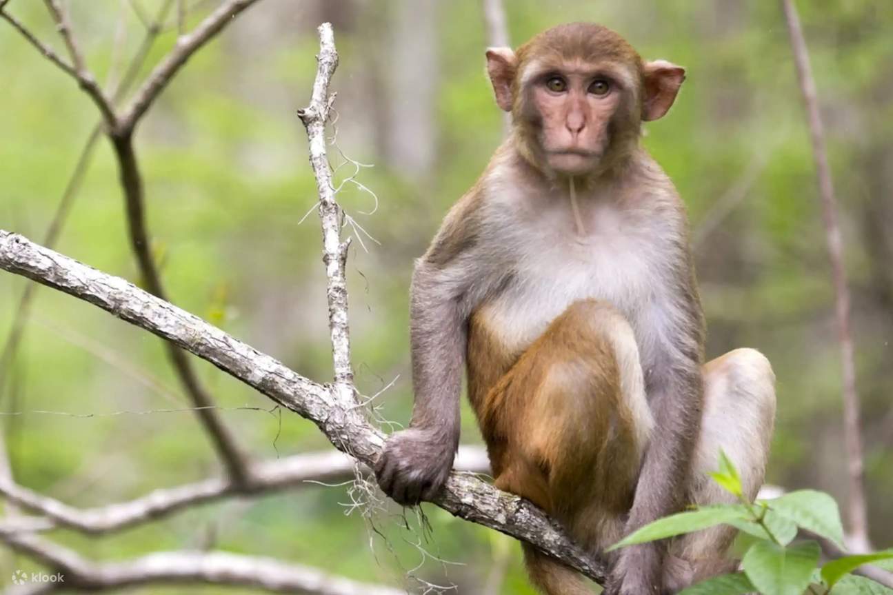 Исследуйте очаровательные водные пути, изобилующие дикой природой и естественным великолепием