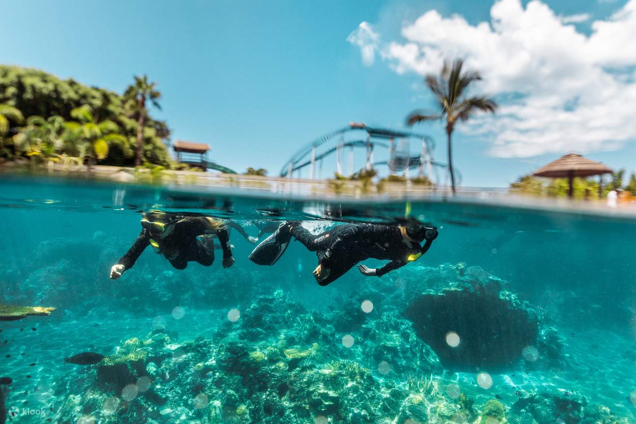 plongée avec tuba plongée avec tuba