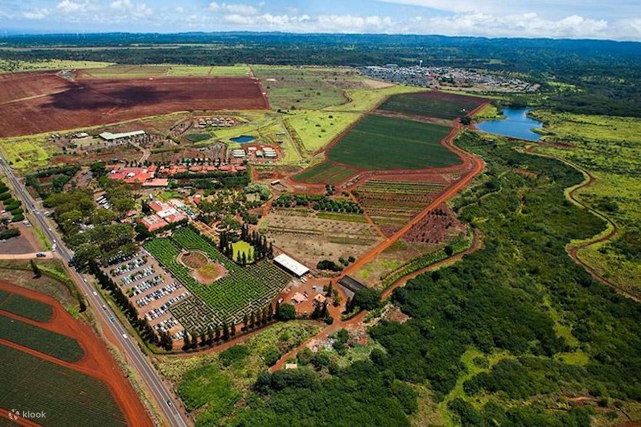 Dole Ananas-Labyrinth