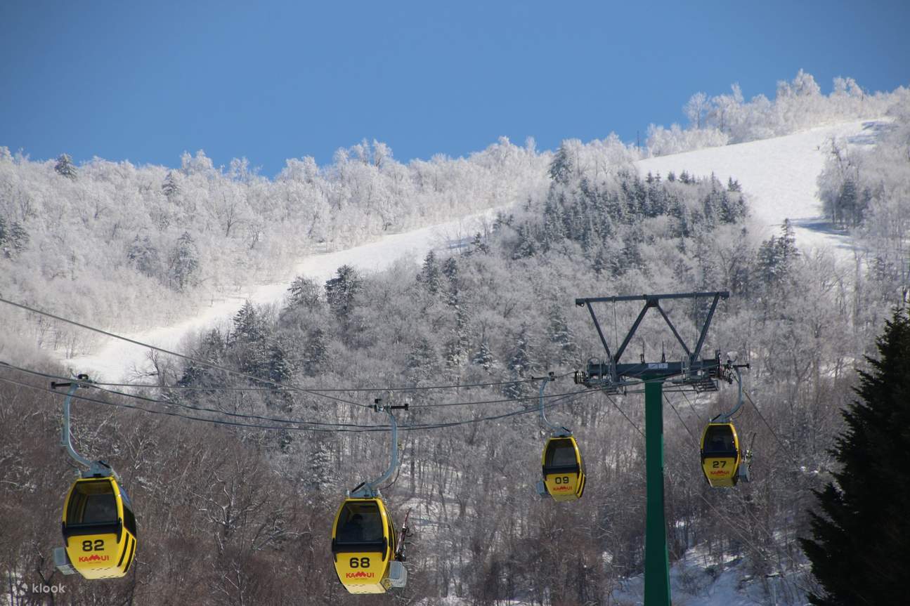 Kamui Ski Links 清晨 CAT Powder 体验