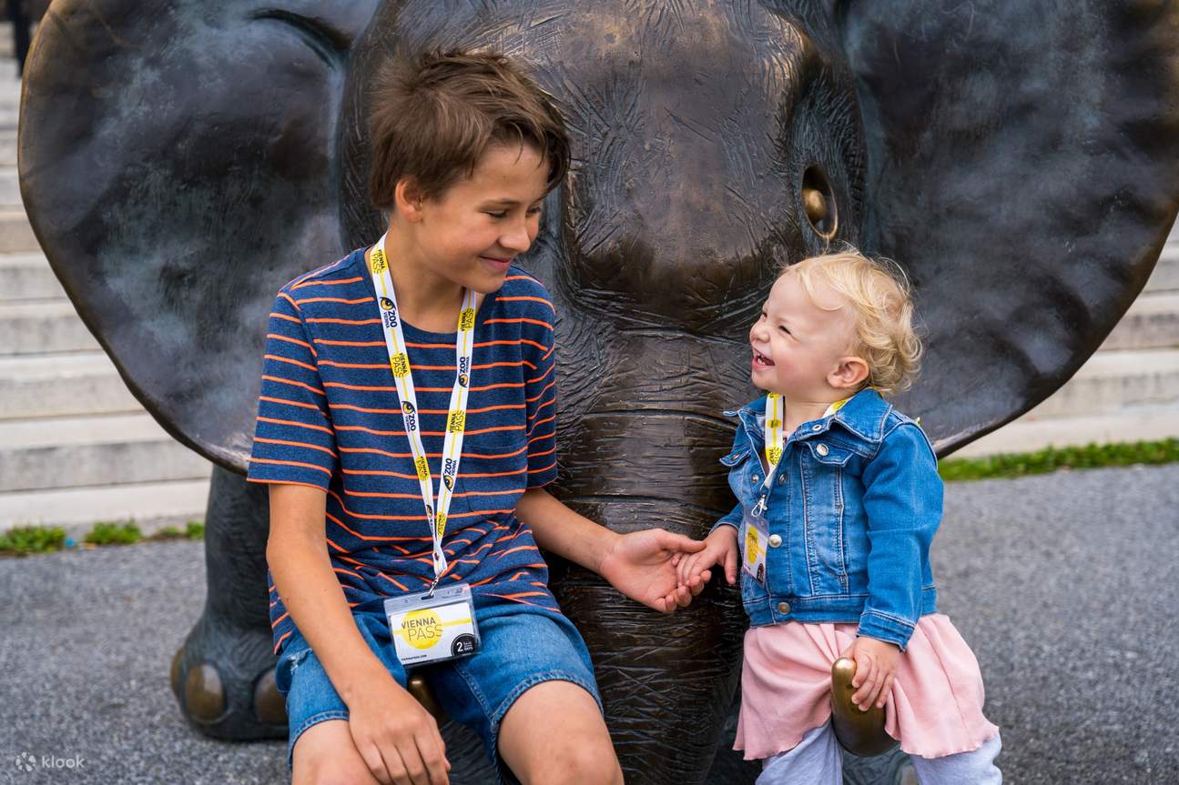 Đắm mình trong những kỳ quan văn hóa của Vienna một cách dễ dàng với Vienna PASS, bao gồm sách hướng dẫn và tùy chọn thẻ đi lại để tăng thêm sự tiện lợi